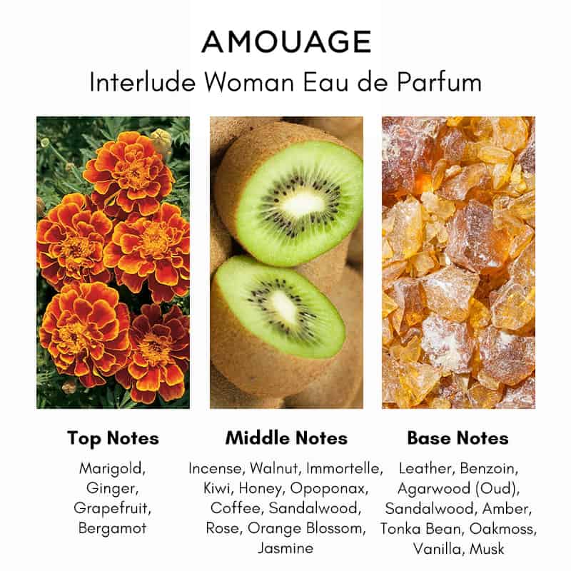 Amouage Interlude Woman 2ml 0,06 oz officieel parfummonster Amouage Interlude Woman 2ml 0,06 oz officieel parfummonster